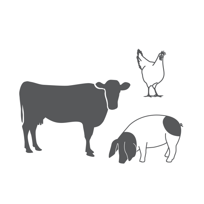 Gourmet Kochmanufaktur - Label